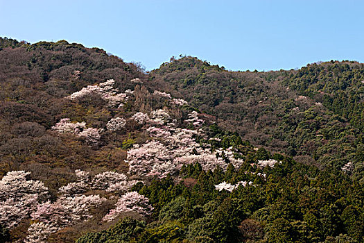 下载岚山客户端岚山阳光村务平台资源交易-第1张图片-太平洋在线下载