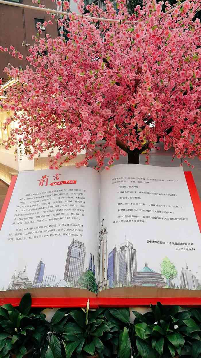 华宇手机版下载华宇乐悠游官方下载-第2张图片-太平洋在线下载