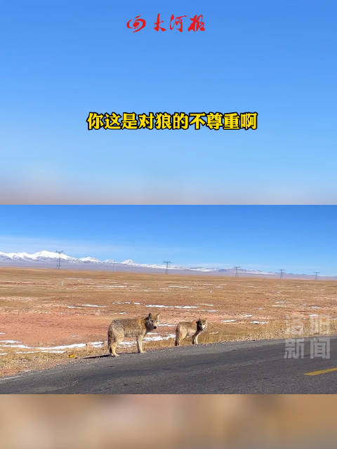大河网手机版大河网官网首页